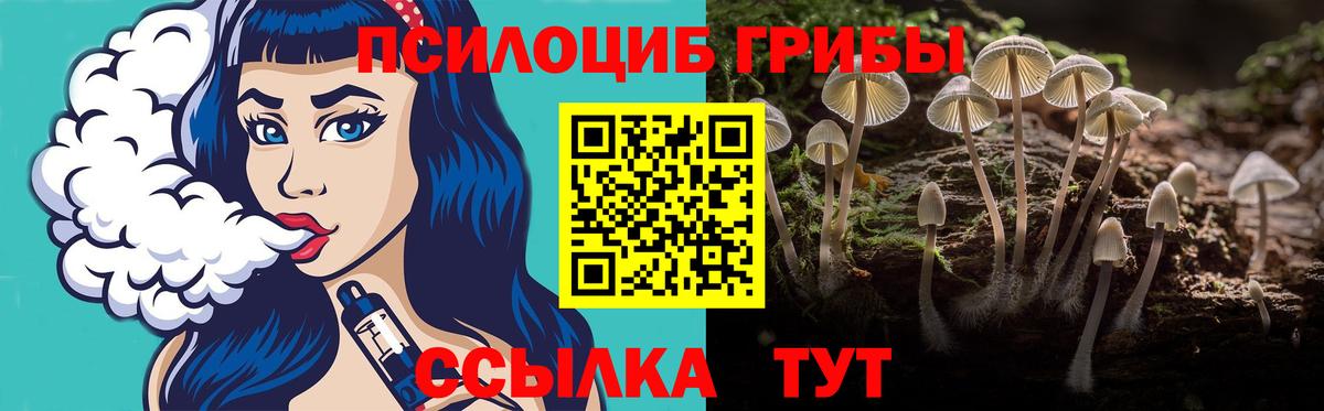 Дербент  Галлюциногенные грибы прущие грибы  Вход с VPN 